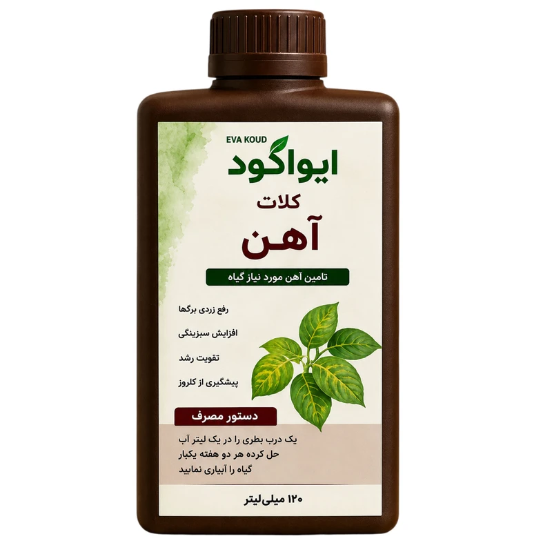کود مایع آهن ایواکود مدل 02 حجم 120 میلی لیتر