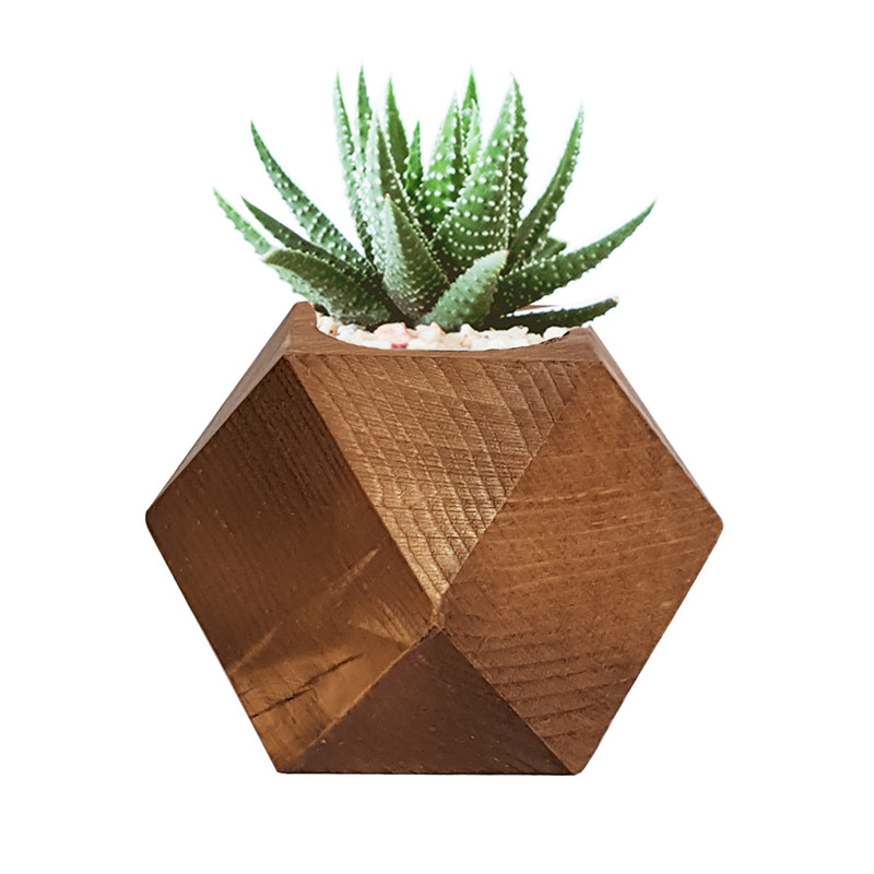 گلدان کاکتوس مدل Z303