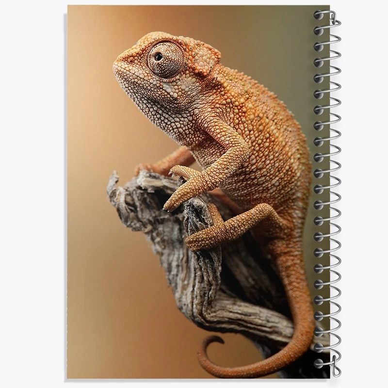 دفتر نقاشی 50 برگ خندالو طرح آفتاب پرست کد F1223