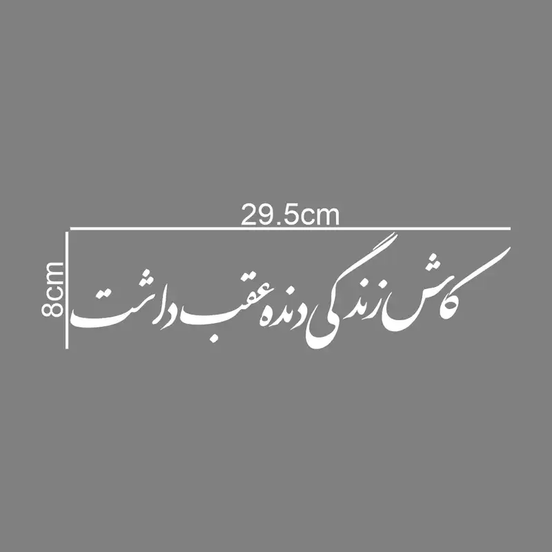 برچسب بدنه خودرو طرح کاش زندگی دنده عقب داشت کد MT-W413