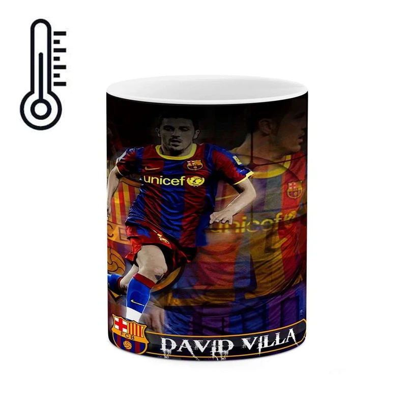 ماگ حرارتی کاکتی مدل داوید ویا کد  mgh12311