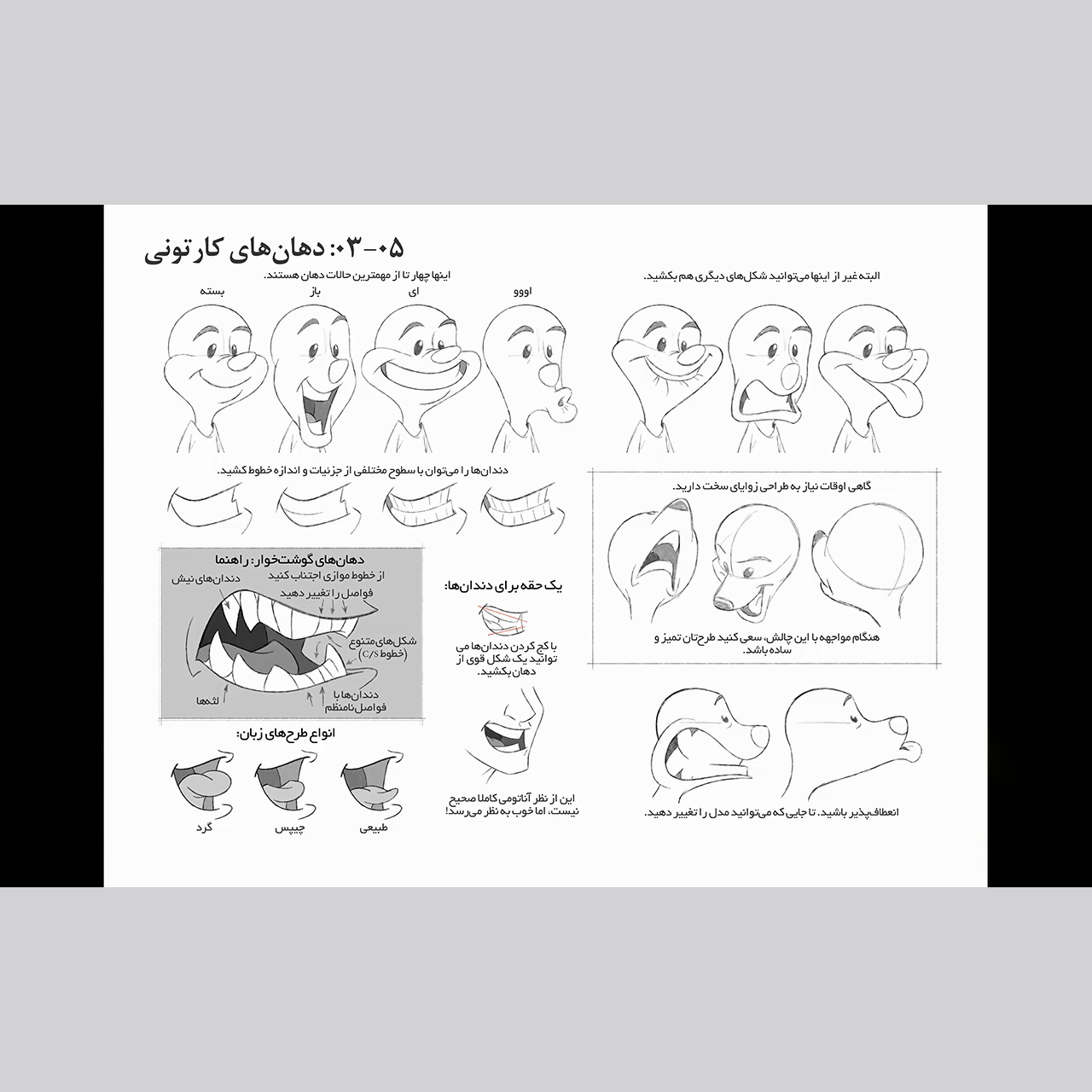 نرم افزار آموزش صفر تا صد انیمیشن سازی دو بعدی پک 2 آموزش طراحی کاراکتر های کارتونی نشر صفر تا صد
