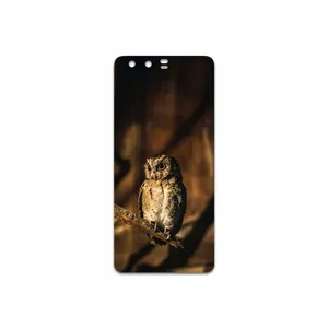 MAHOOT Owl Cover Sticker for Huawei P10