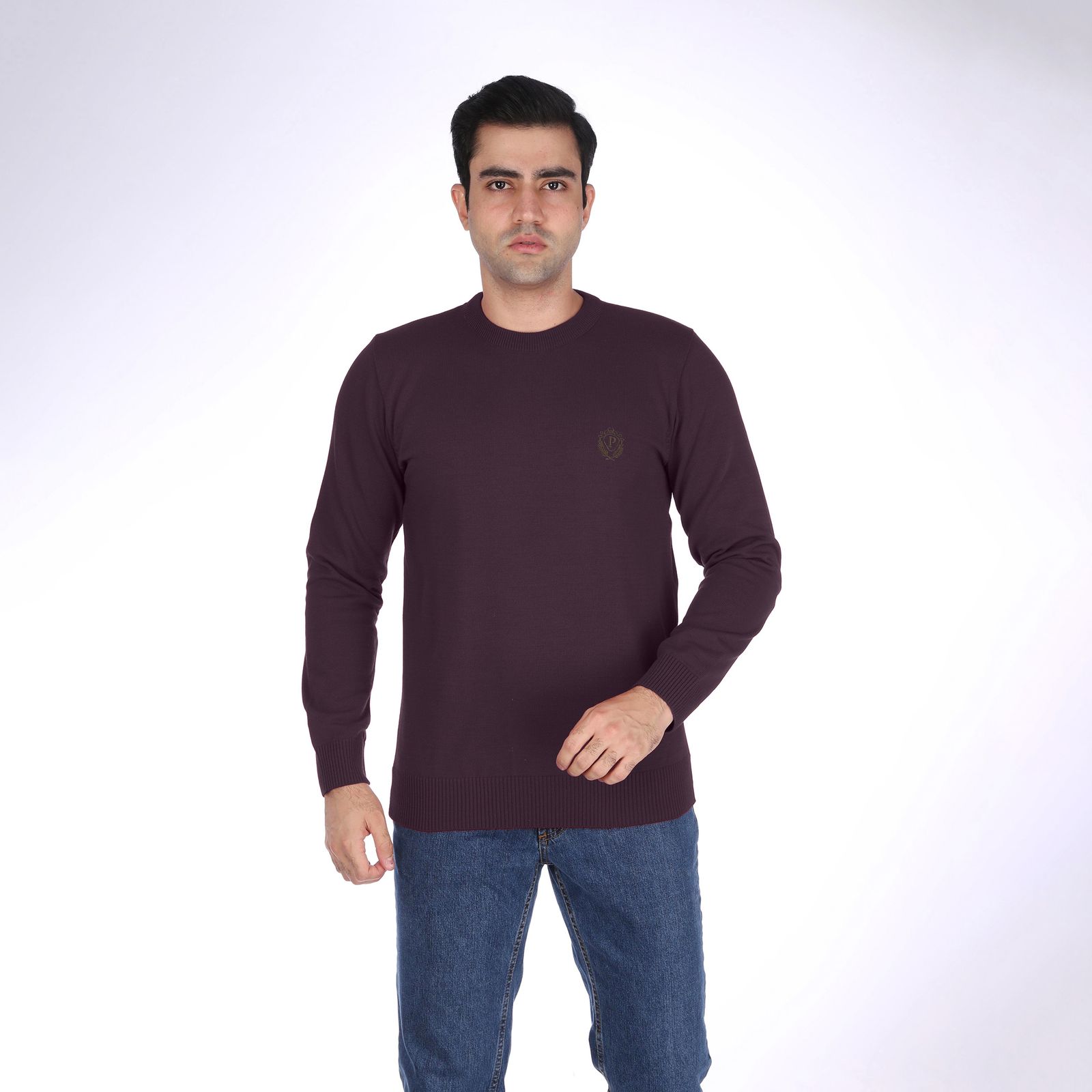 پلیور مردانه تریکو پاییزان مدل PR700 رنگ بادمجانی -  - 2