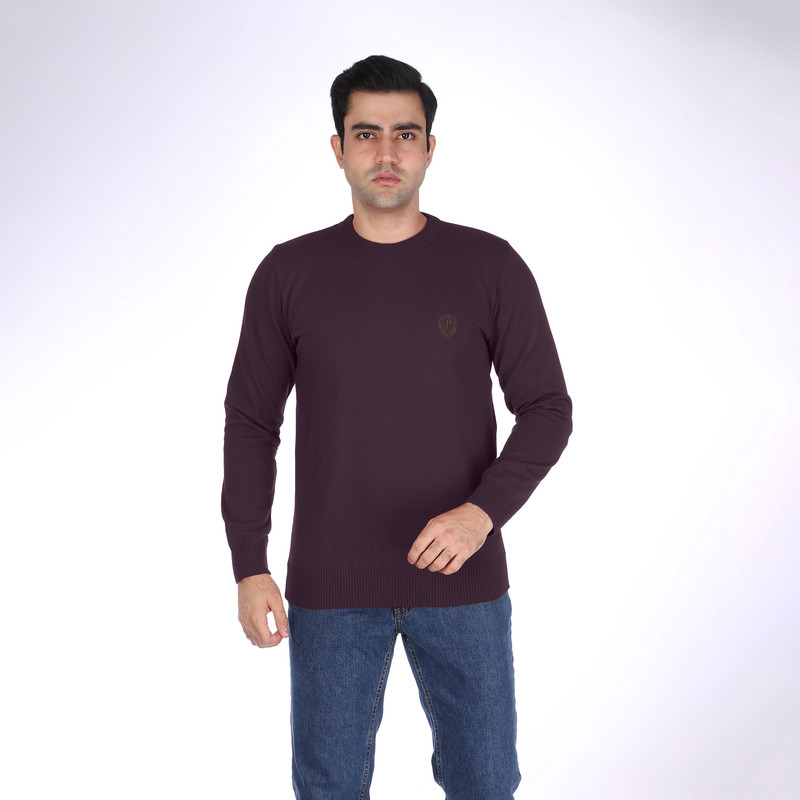 پلیور مردانه تریکو پاییزان مدل PR700 رنگ بادمجانی