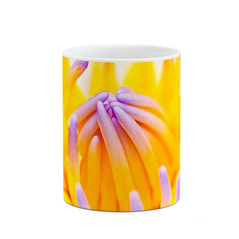 ماگ کاکتی مدل گل کد mgh11976