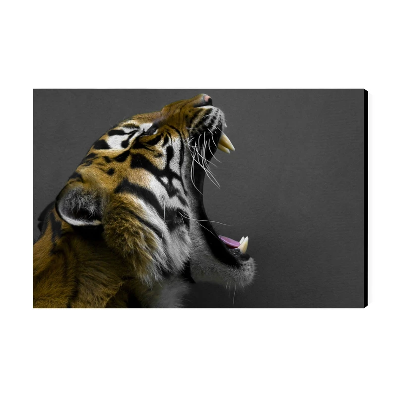 تابلو شاسی عرش مدل فانتزی ببر کد As4787