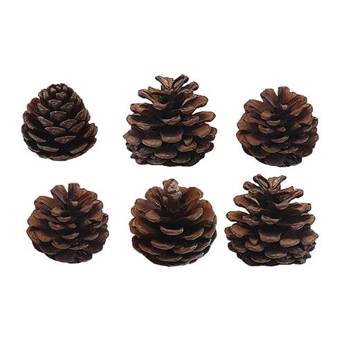 میوه تزیینی طرح درخت کاج بسته 6 عددی