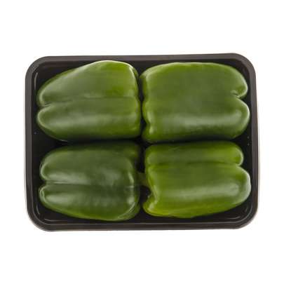 فلفل دلمه ای برای سگ مفید است؟