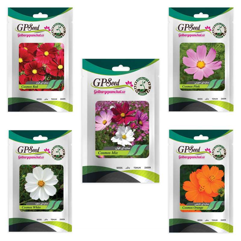 بذر گل ستاره ای رنگارنگ گلدانی گلبرگ پامچال کد G-P-GP-05 مجموعه 5 عددی