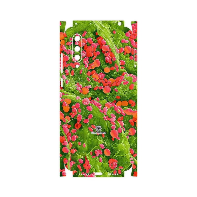 برچسب پوششی ماهوت مدل Atom Universe 3-FullSkin مناسب برای گوشی موبایل شیائومی MI 9 Lite