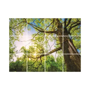تایل سقفی آسمان مجازی مدل R39 سایز 60*60 سانتی متر مجموعه 12 عددی