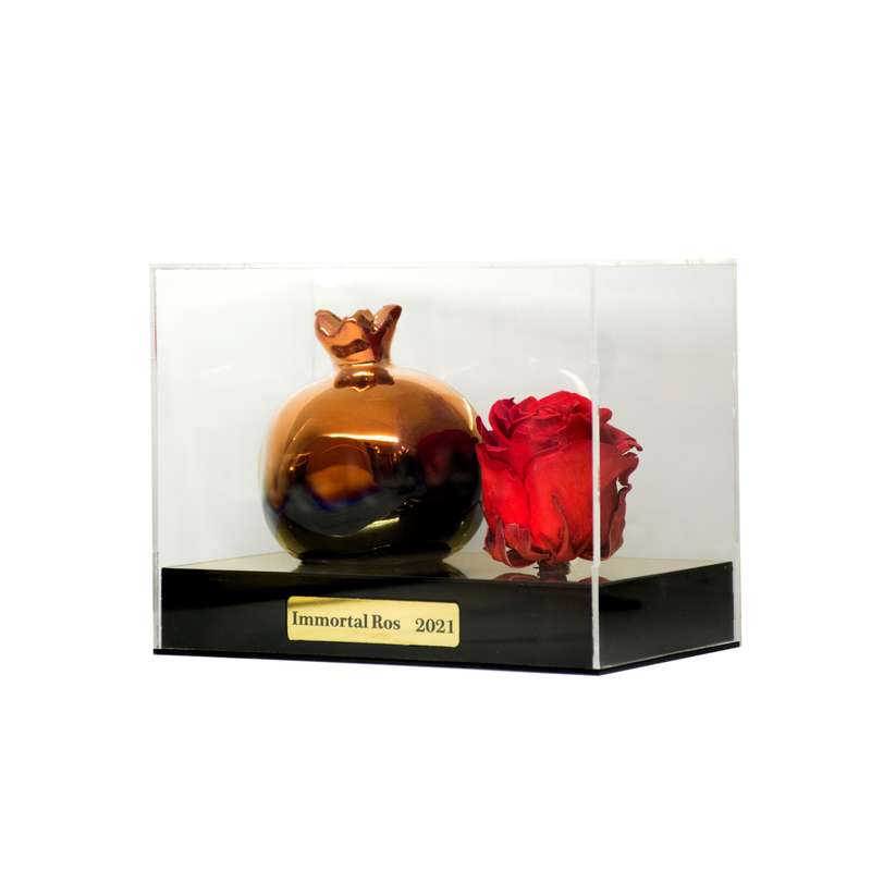 گل رز جاودان مدل NRB 2021