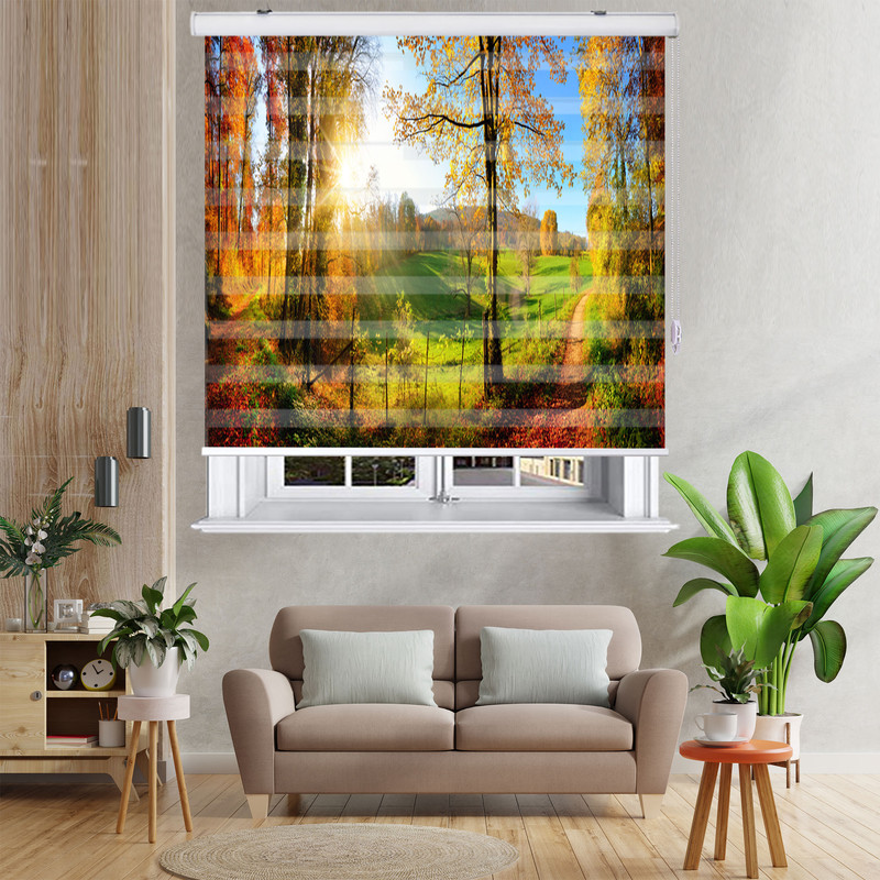  پرده زبرا زیو مدل L5067 سایز 150x280 سانتی متر