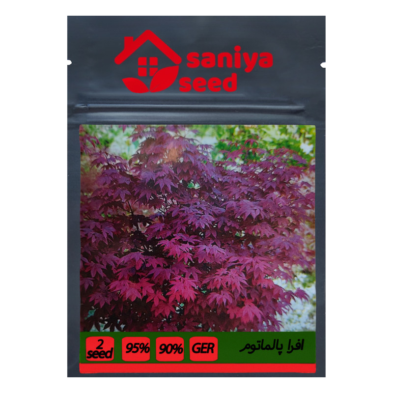 بذر بنسای افرا پالماتوم سانیا سید مدل N12