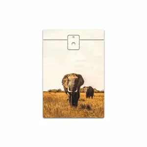 MAHOOT Elephant Cover Sticker for BlackBerry Passport
