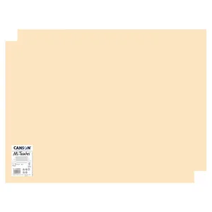 مقوا کانسون مدل Mi-Teintes کد 350 سایز 50x65 سانتی متر بسته 2 عددی