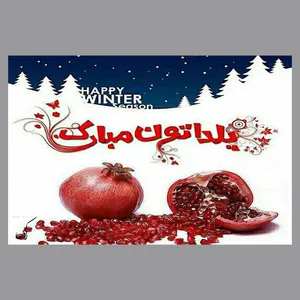 کارت پستال رادکس طرح شب یلدا مدل NE135