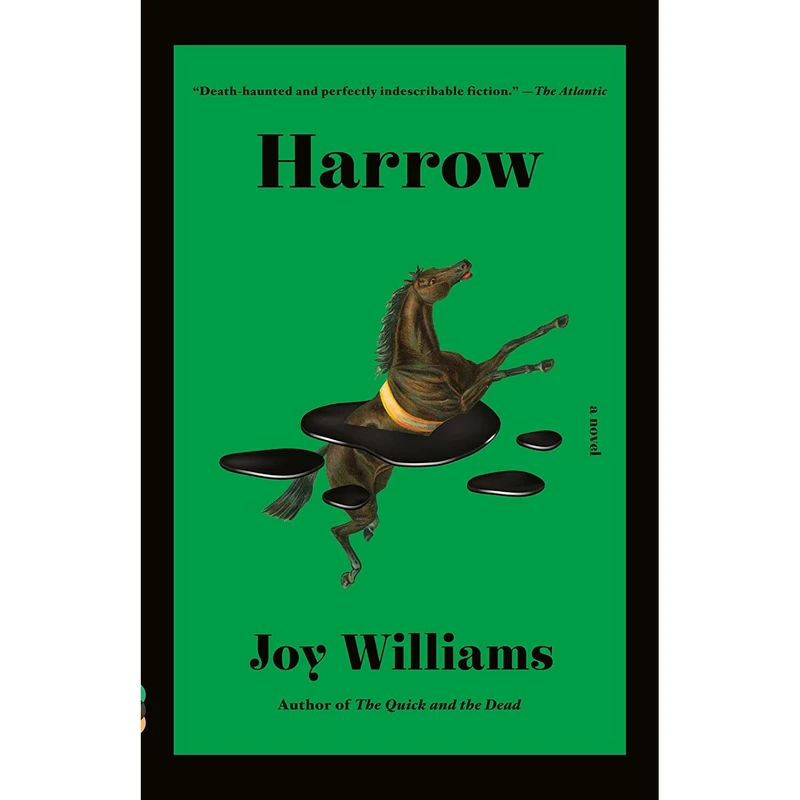 کتاب Harrow اثر Joy Williams انتشارات Vintage