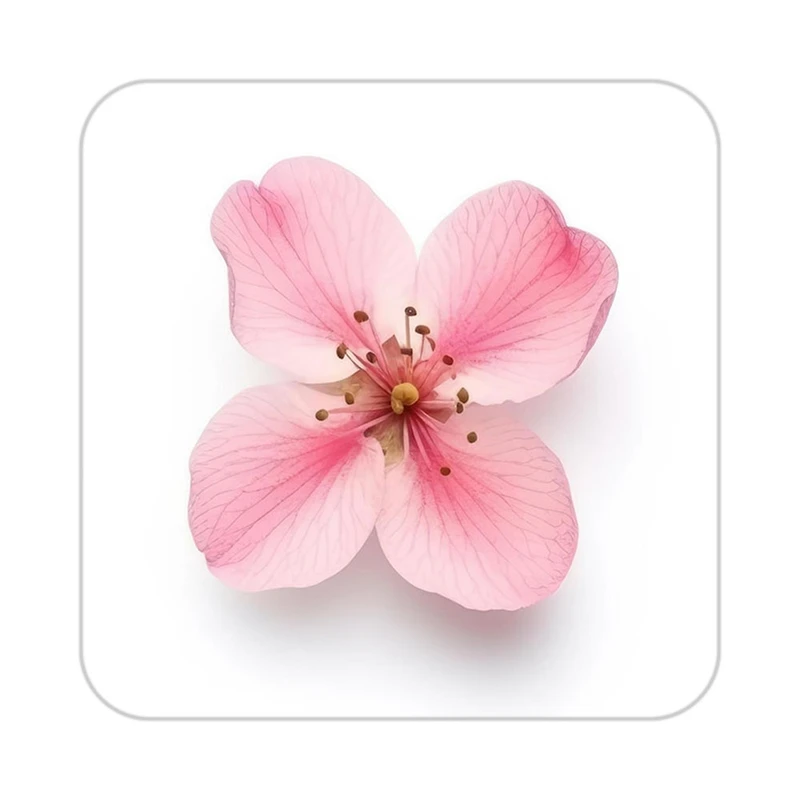 زیر لیوانی کاکتی طرح گل مدل mp18385