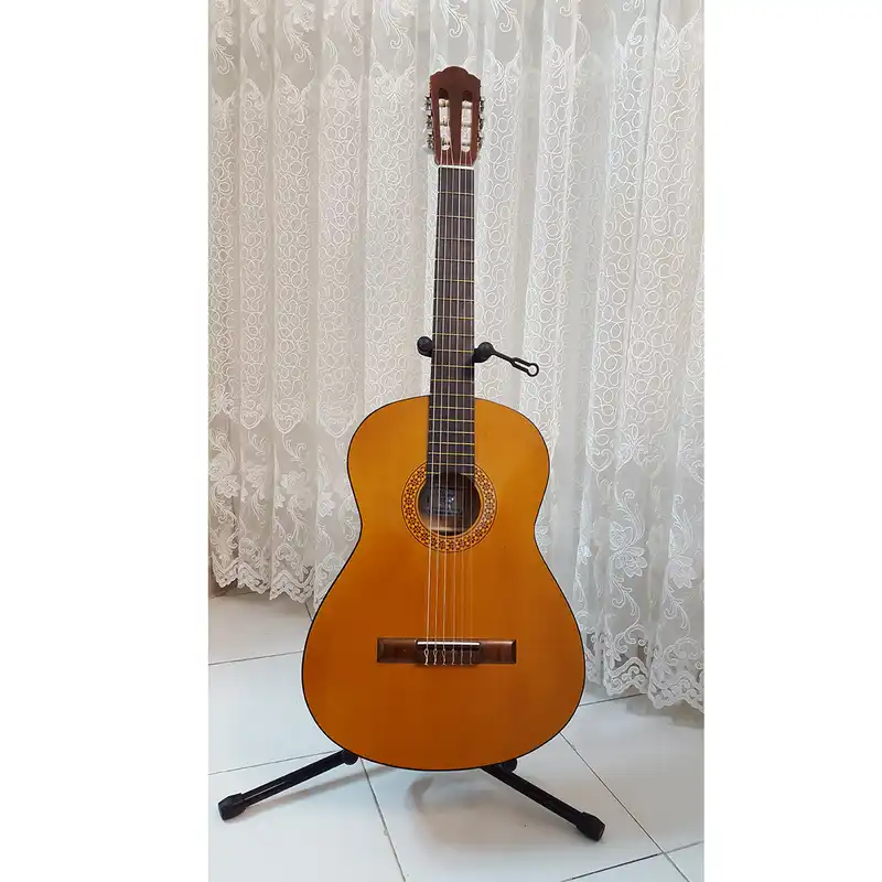 گیتار فرد مدل 002