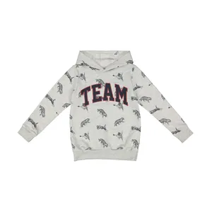 هودی پسرانه ال سی وایکیکی مدل 0SL631Z4-LRW-GREYPRINTED