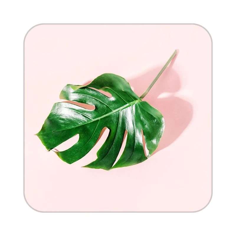 زیر لیوانی کاکتی طرح گل مدل mp18140