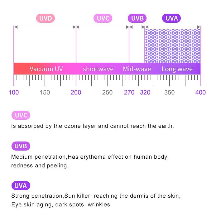 عینک آفتابی زنانه مدل B11902 Sacramento Lavender -  - 7