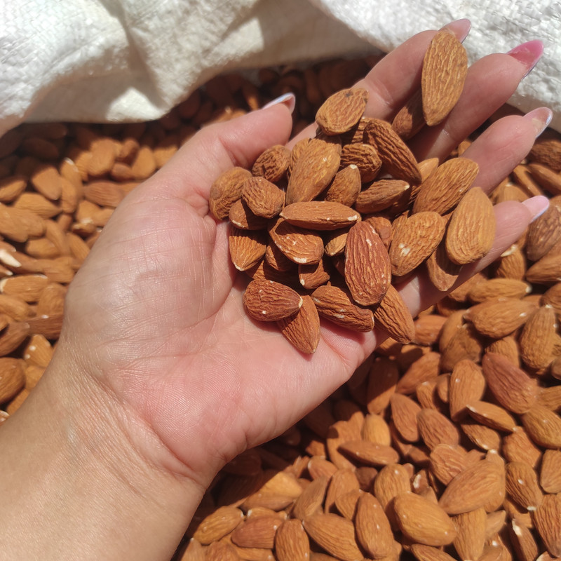 آجیل مخلوط 3 مغز شور نایبی - 40 گرم بسته 12 عددی