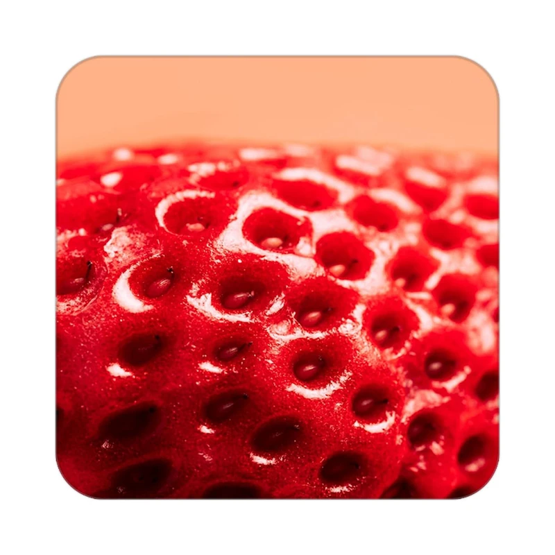 زیر لیوانی کاکتی طرح میوه مدل mp21567