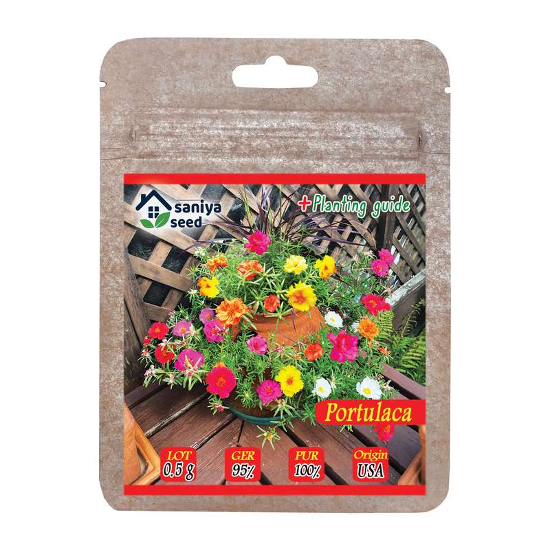 بذر گل ناز آفتابی الوان سانیا سید مدل ss30 بذر گل ناز آفتابی الوان سانیا سید مدل ss30