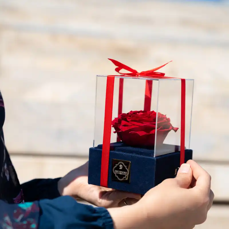 جعبه موزیکال گل ماندگار دکوفیوره مدل رز جاودان ملودی های عاشقانه