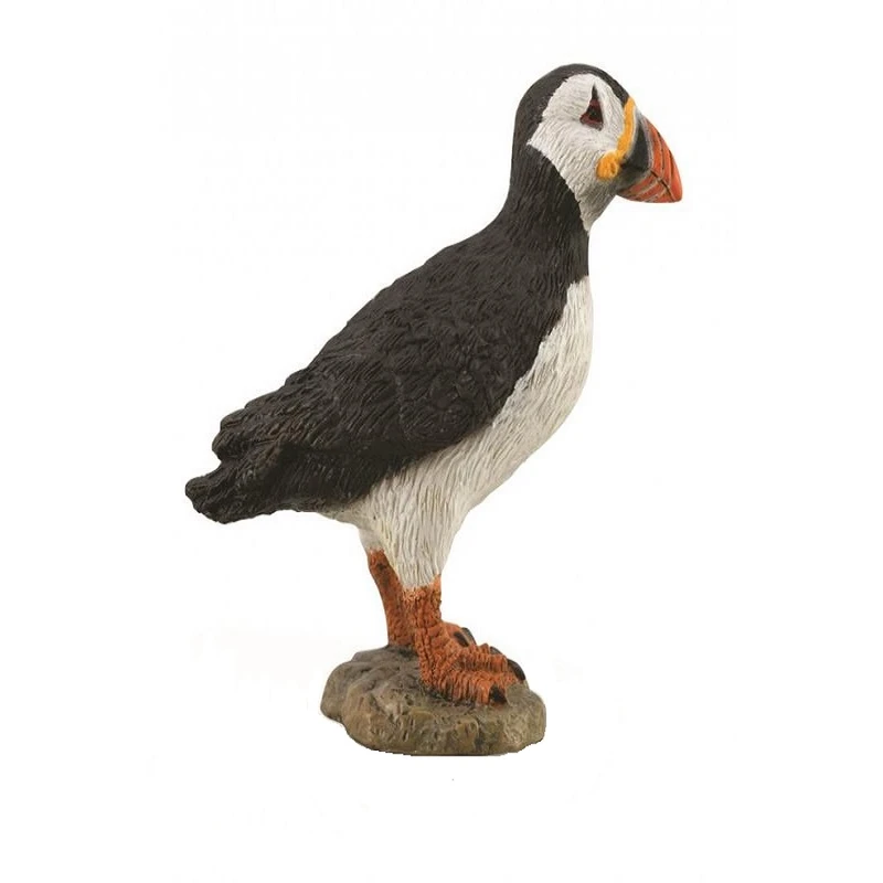 فیگور مدل طوطی دریایی