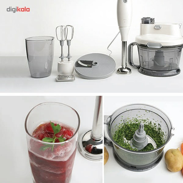 غذاساز ربن مدل RBL-7010T