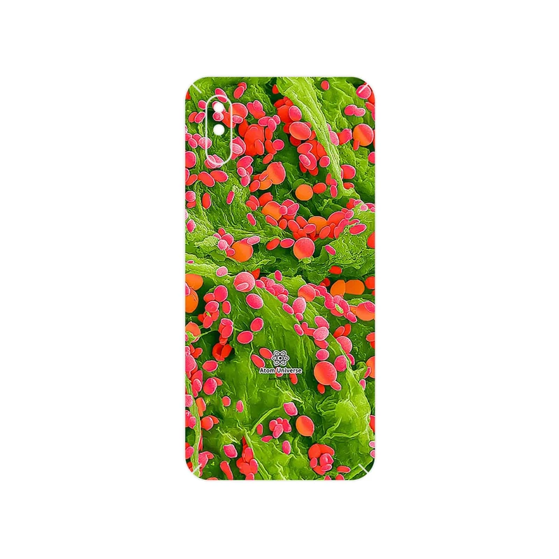 برچسب پوششی ماهوت مدل Atom Universe 3 مناسب برای گوشی موبایل آنر 9A