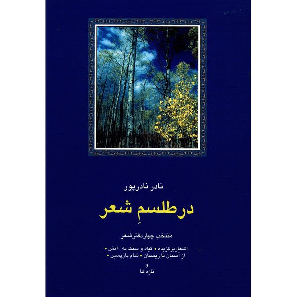 مشخصات قیمت و خرید کتاب در طلسم شعر اثر نادر نادرپور دیجی کالا