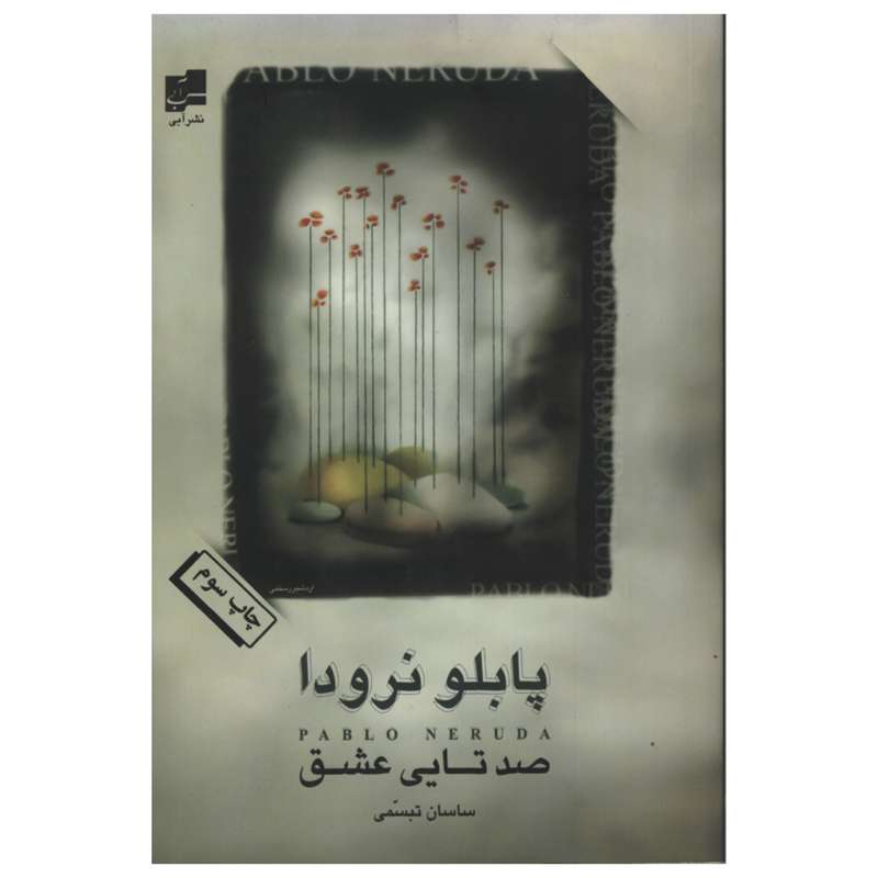کتاب صد تایی عشق اثر ابلو نرودا انتشارات آبی