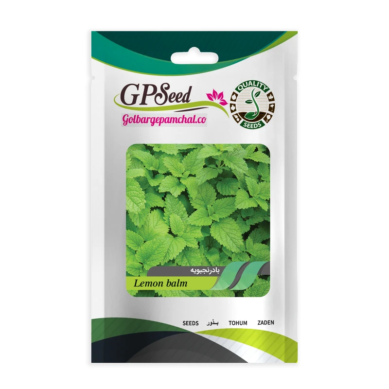 بذر بادرنجبویه گلبرگ پامچال کد GPF-141