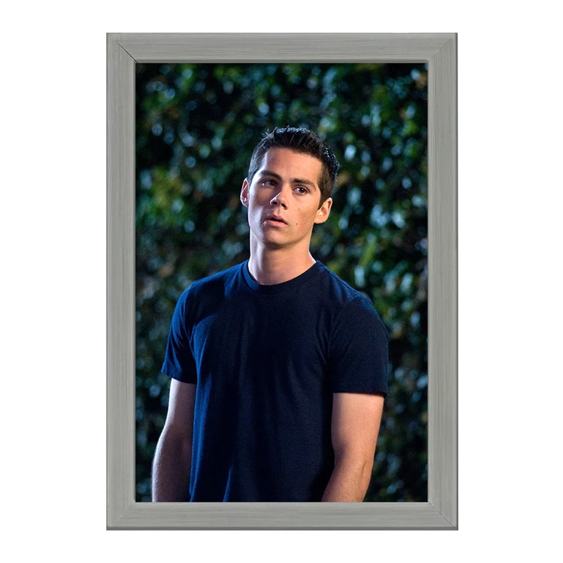 تابلو خندالو طرح استایلز استلینسکی سریال تین ولف Teen Wolf کد 28446