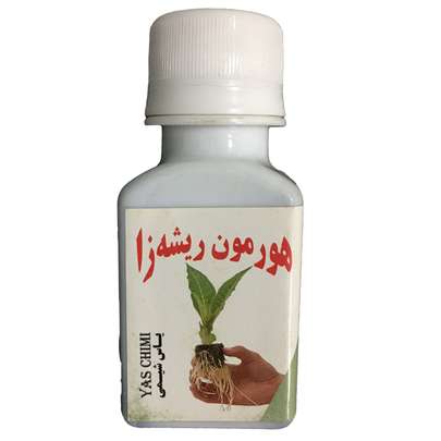 هورمون ریشه زایی را از کجا تهیه کنیم؟