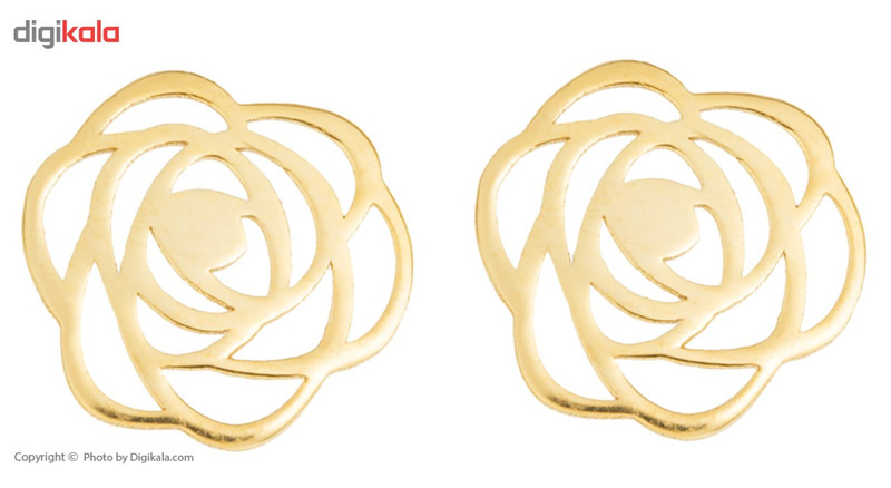 نیم ست طلای 18 عیار زنانه رزا مدل SG57