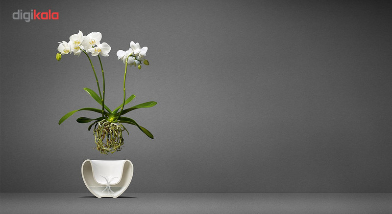 گلدان خودآبرسان اواسولو مدل 568241