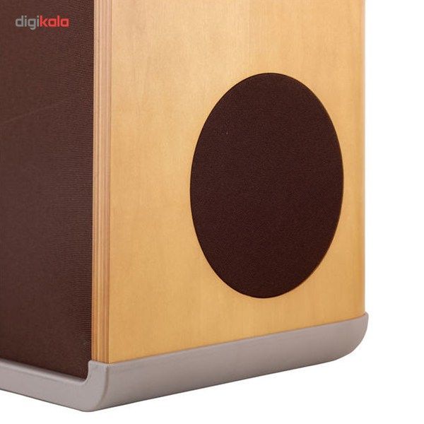 آمپلی فایر آتیک فندر مدل Acoustic SFX 230V