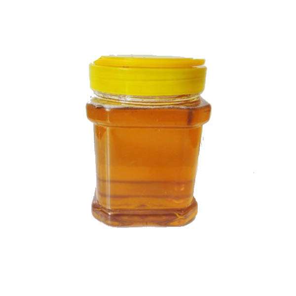 عسل گشنیر -500 گرم