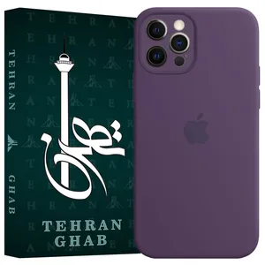TEHRAN GHAB TSILICIN Cover For Apple iPhone 12 Pro