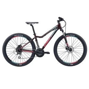 دوچرخه کوهستان جاینت مدل Tempt 4 سایز 27.5