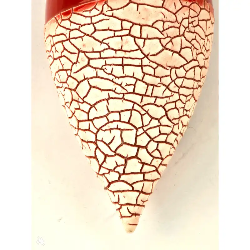 گلدان سفالی مدل آویز کویری