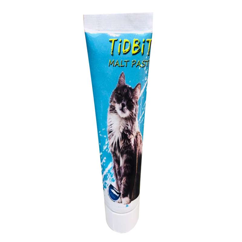 خمیر مالت گربه تیدبیت مدل fish وزن 110 گرم خمیر مالت گربه تیدبیت مدل fish وزن 110 گرم
