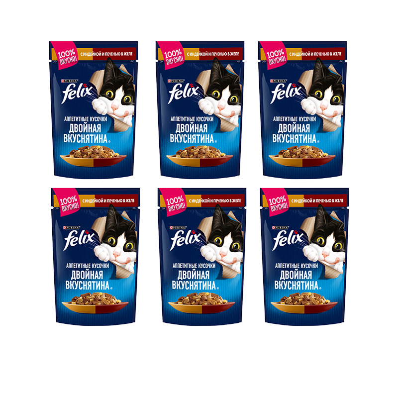 پوچ گربه فلیکس مدل in Sauce با طعم بوقلمون و جگر وزن 410 گرم بسته 6 عددی