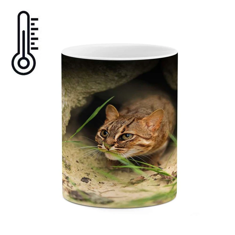 ماگ حرارتی کاکتی مدل گربه کد mgh16832